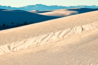 Dunes w. San Andres Mts.