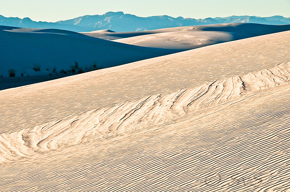 Dunes w. San Andres Mts.
