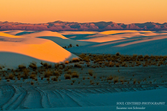 Dunes w. San Andres Mts., sunrise 6
