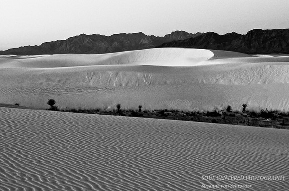 Dunes w. San Andres Mts. bw