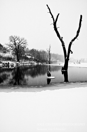 Winter, Kasota prairie 1