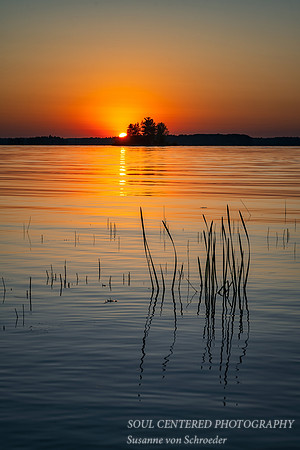 Sunset and reeds, August '22 2