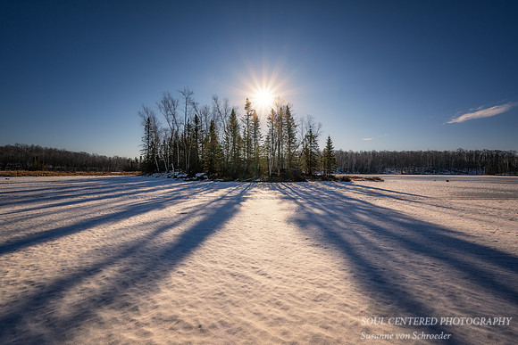 Sun light and shadows, Audie Lake, March '25 1