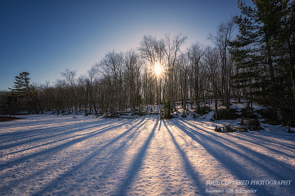 Sun light and shadows, Audie Lake, March '25 4