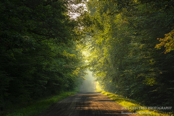 Morning drive through the Blue Hills, Aug. '22 2