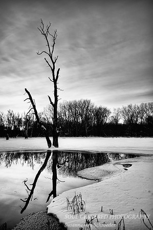 Winter, Kasota prairie 3