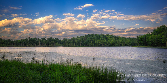 Summer Clouds reflecting, Perch Lake, July '25, panorama