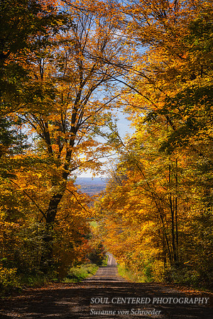 Fall colors, road, Oct. 24 1