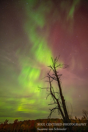 Aurora, Blue Hills, 10.10. '24