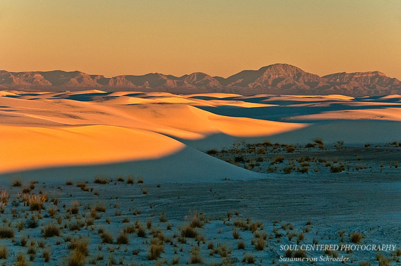 Dunes w. San Andres Mts., sunrise 7
