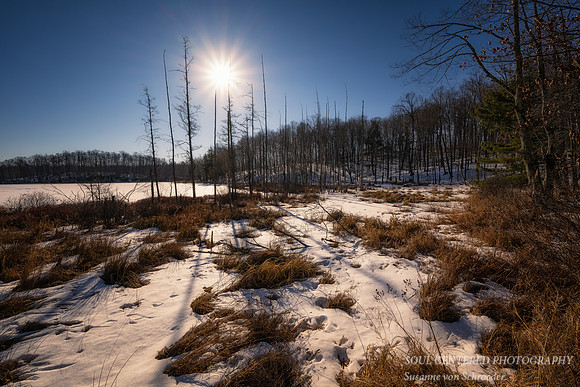 Sun light and shadows, Perch Lake, March '25