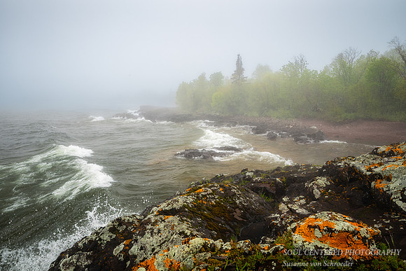 _DSC3171z