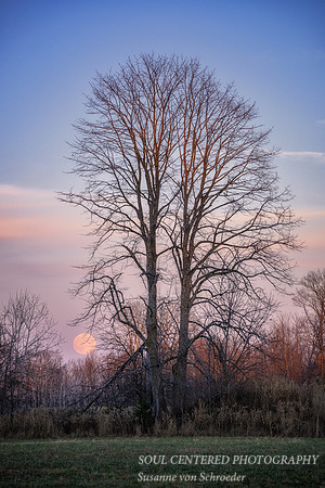 November full moon, Blue Hills, '24 1