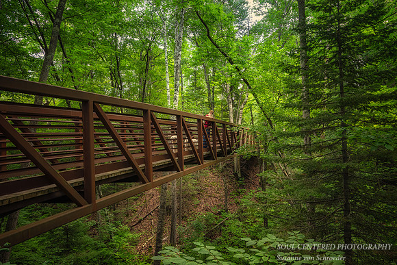 Bridge, Frog Bay Tribal National Park, WI 1