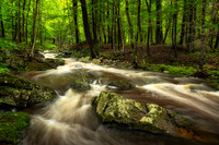 Creek after summer rain, June '25 1
