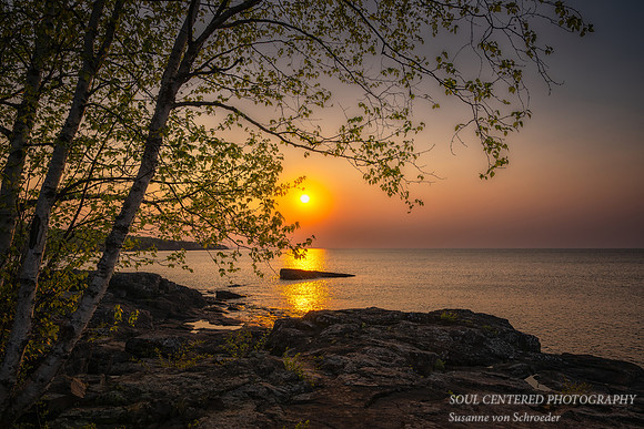Sunrise with birch trees at Temperance River State park, June '25