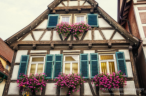 House with flower boxes