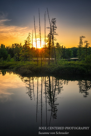 Sunset, Tamarack reflections, July '25