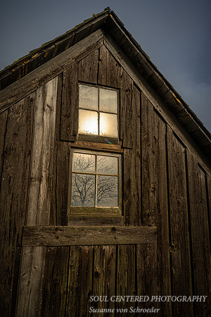 Window reflections at the Fishing shack, Stoney Point