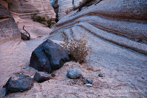 Canyon, Tent Rocks