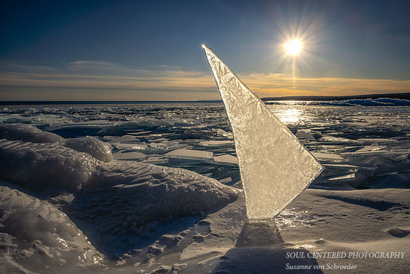 Upright Ice shard in sunlight, Stoney Point
