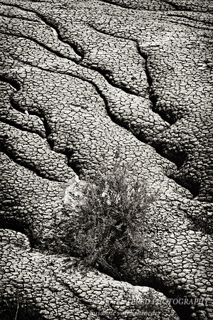 Badlands cracks, bw