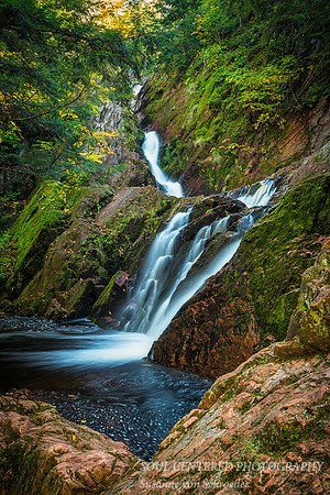 Morgan Falls, Fall '14 1