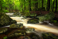 Creek after summer rain, June '25 2