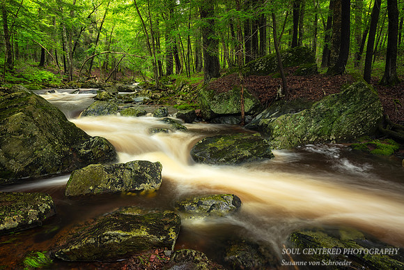 Creek after summer rain, June '25 2