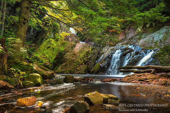 Morgan Falls, Fall '14 2