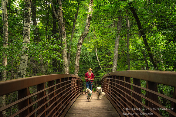 Bridge, Frog Bay Tribal National Park, WI 2