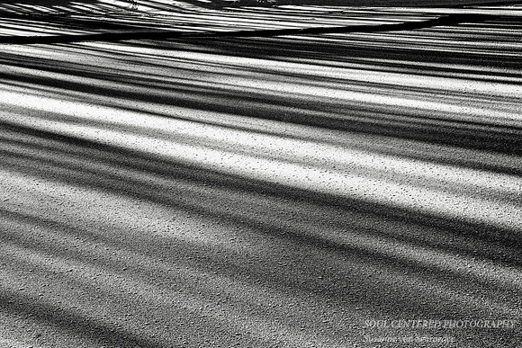 Shadows in snow