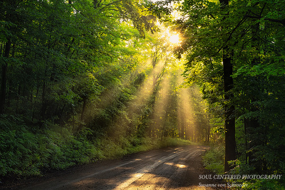 Sun rays on a foggy morning, Blue Hills 1