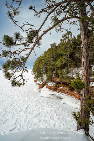Pine tree framing the view of an ice cave, Lake Superior