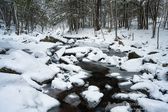 Snow covered creek, Dec. '21 1