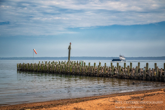 Seagulls lined up, Bayfield, WI