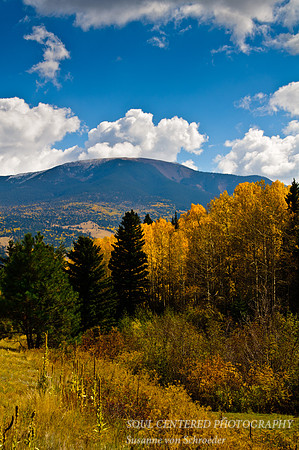 Fall colors near Taos
