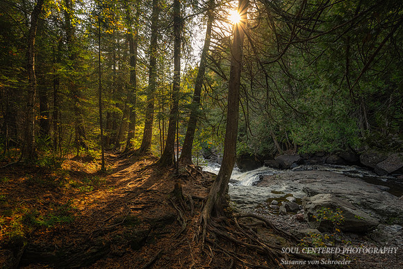 Sunlit path along the Cascade River 2