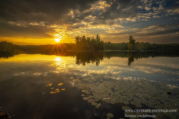 Sunset with cloud reflections & lily pads, late August '23 1