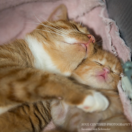 We are sleeping in today