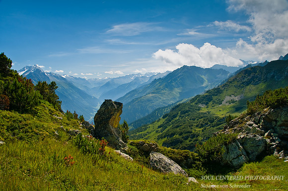 Arni Alm 5