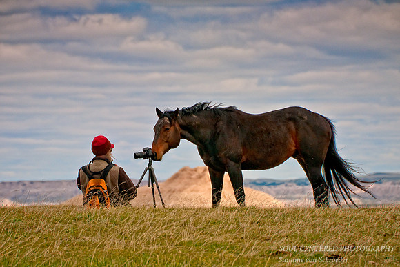 Horse w. camera, Badlands