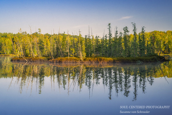Bog reflections, September morning at Audie Lake