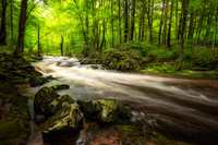 Creek after summer rain, June '25 3