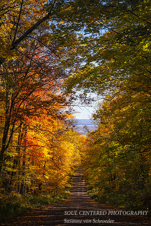 Fall colors, road, Oct. 24 2