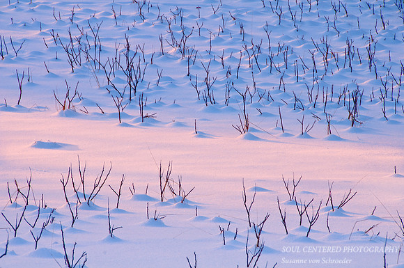 Winter abstract, pastels