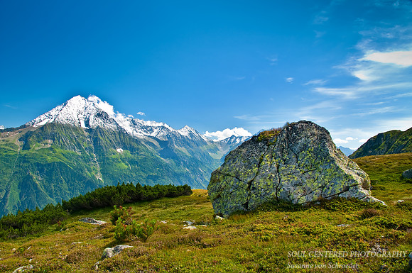 Arni Alm 8