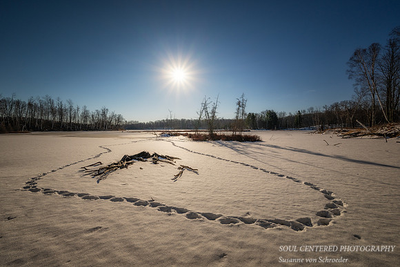 Beaver tracks, Audie Lake