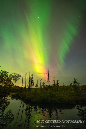 Aurora, Audie Lake, 10.10. '24 1