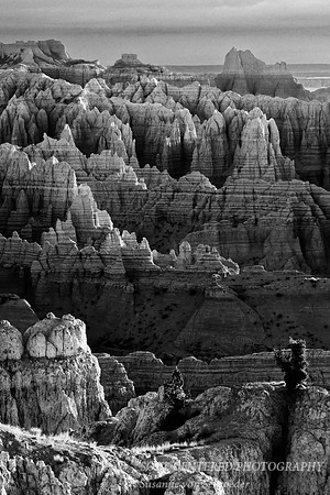 Badlands scenery 6, bw